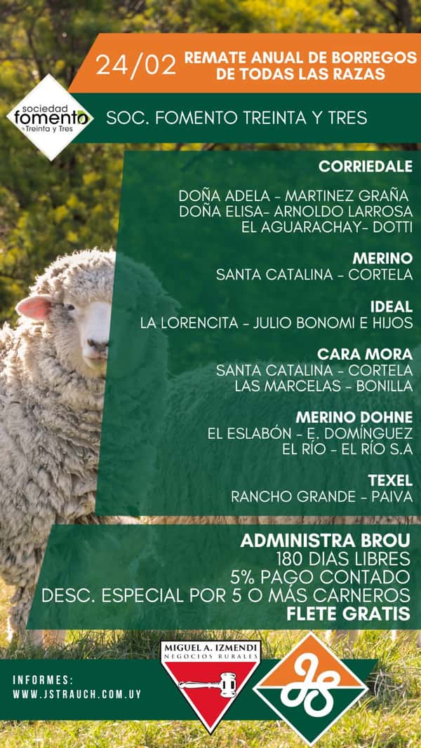 Remate Especial de Borregos