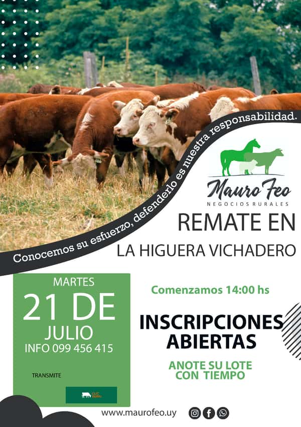  Feria mensual - Local La Higuera (Postergado para el 25)