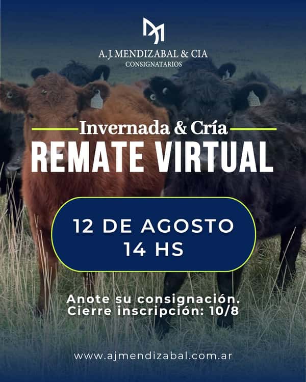 55° Remate virtual — A. J. MENDIZABAL Y CIA S.A.
