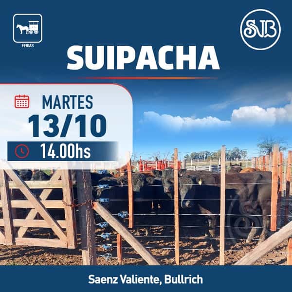Feria en Suipacha — SAENZ VALIENTE, BULLRICH Y CIA. S.A.
