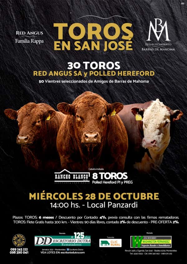 6º Toros en San Jose - Barras de Mahoma — Escritorio Dutra LTDA.