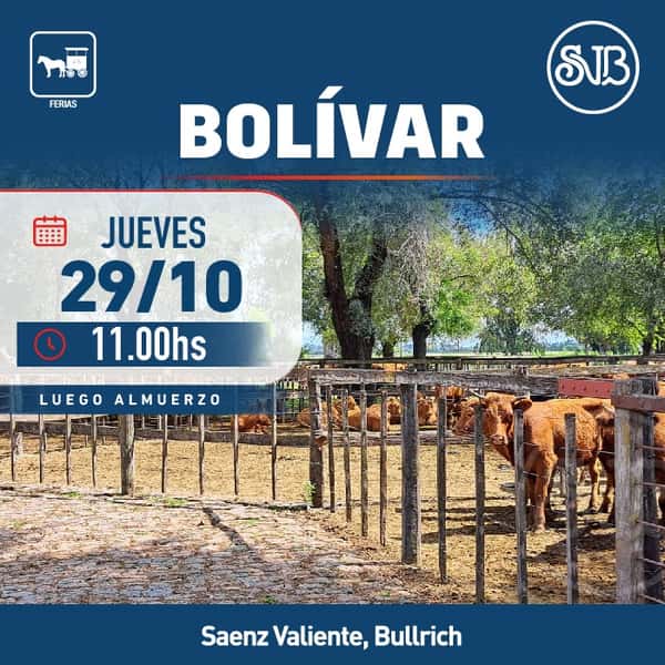Feria en Bolívar — SAENZ VALIENTE, BULLRICH Y CIA. S.A.