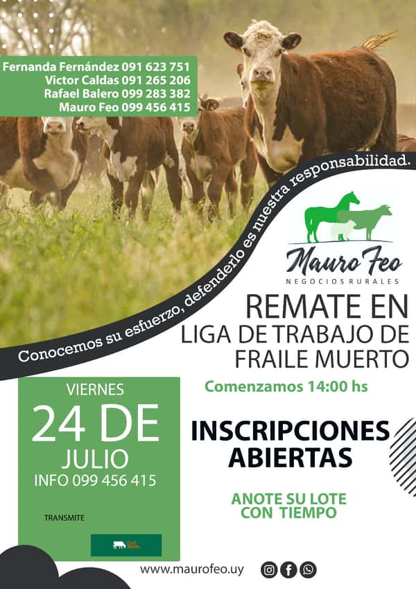  Remate