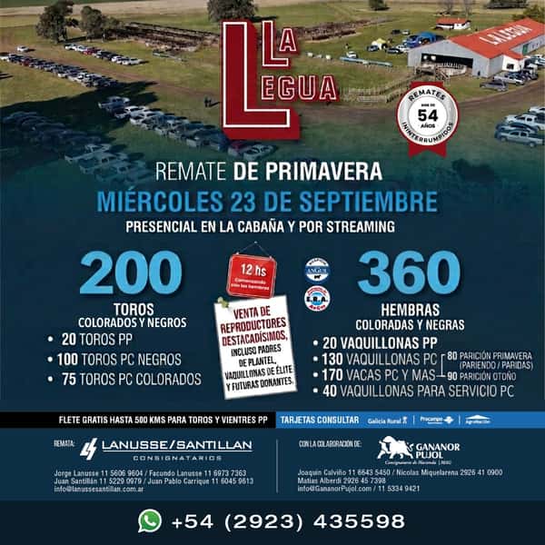 Remate de Primavera