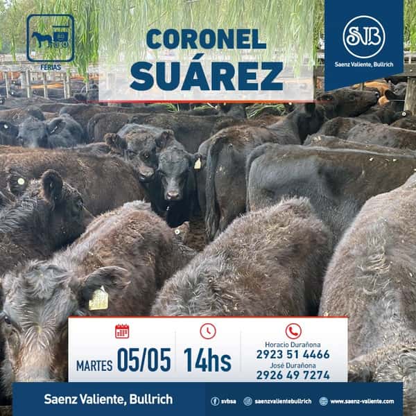  Feria en Cnel. Suárez