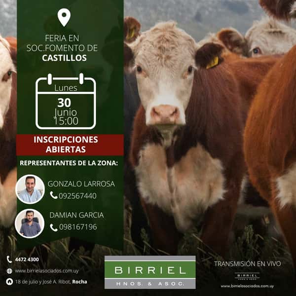  Feria Birriel 30 de Junio