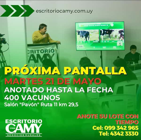 Remate Pantalla Camy 