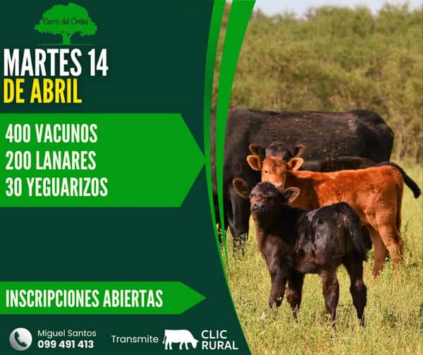  Feria Mensual - Cerro del Ombu