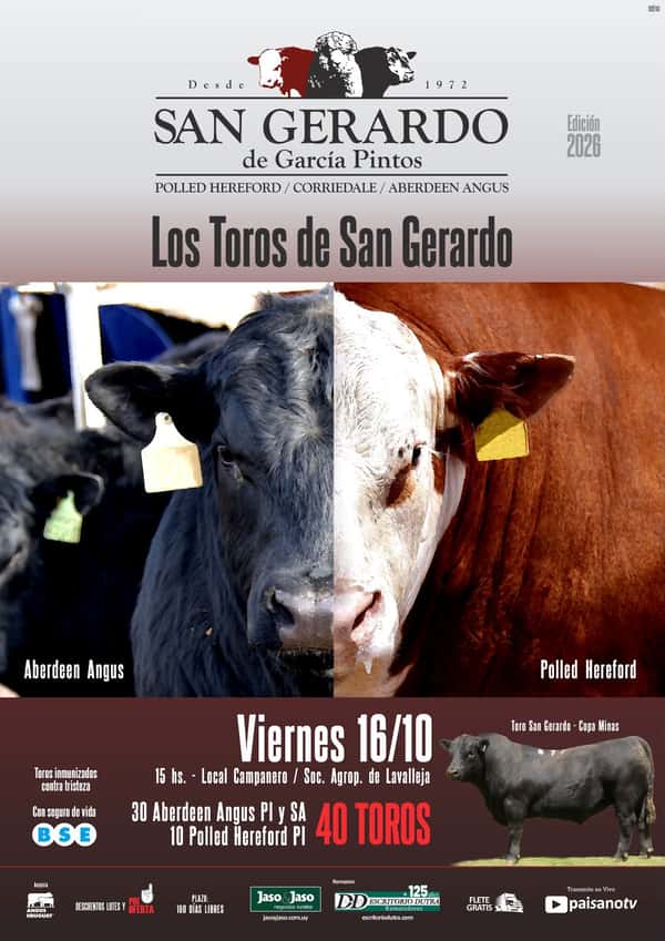 San Gerardo de Garcia Pintos — Escritorio Dutra LTDA.