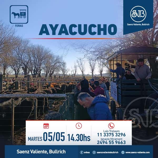  Feria en Ayacucho