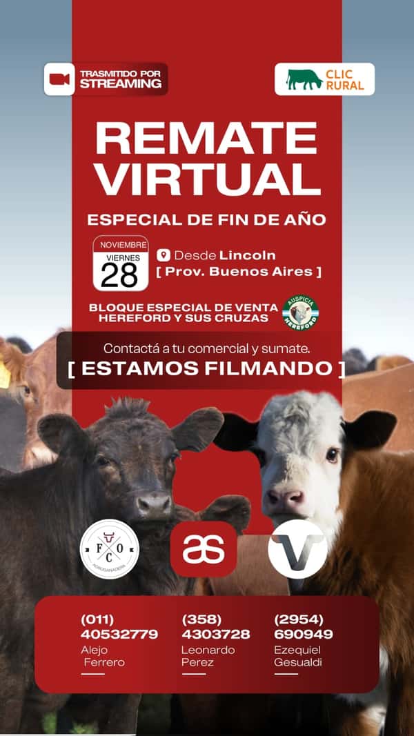  Remate Especial Fin de Año • Lincoln • Buenos Aires