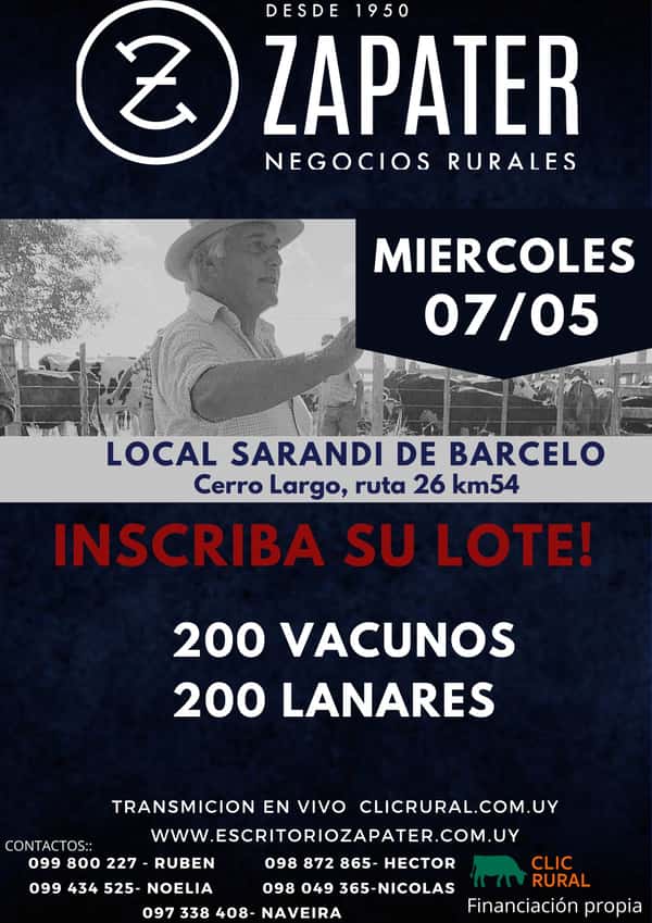 Feria Mensual - Escritorio Zapater