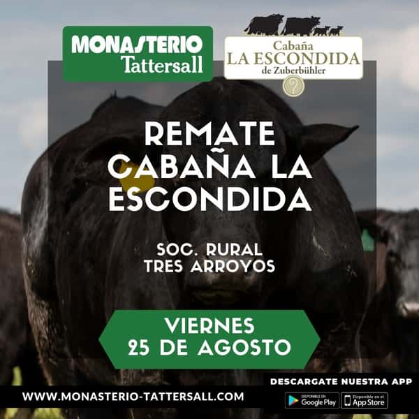  Remate Cabaña La Escondida, Viernes 25 de Agosto