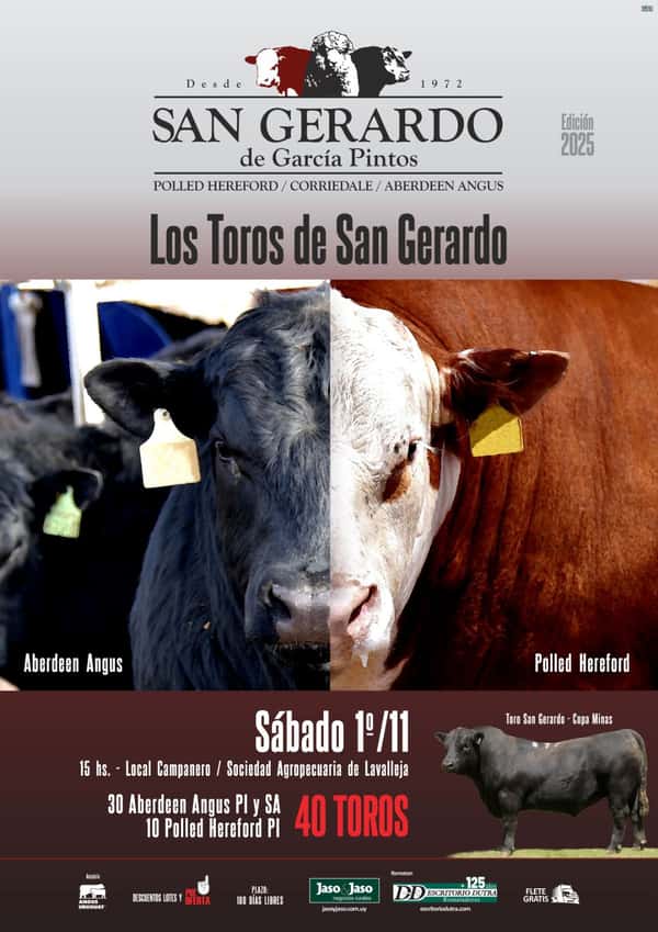 Toros de San Gerardo
