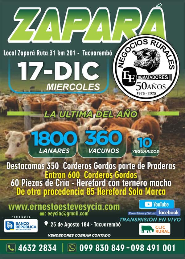 Feria Mensual - Zapara