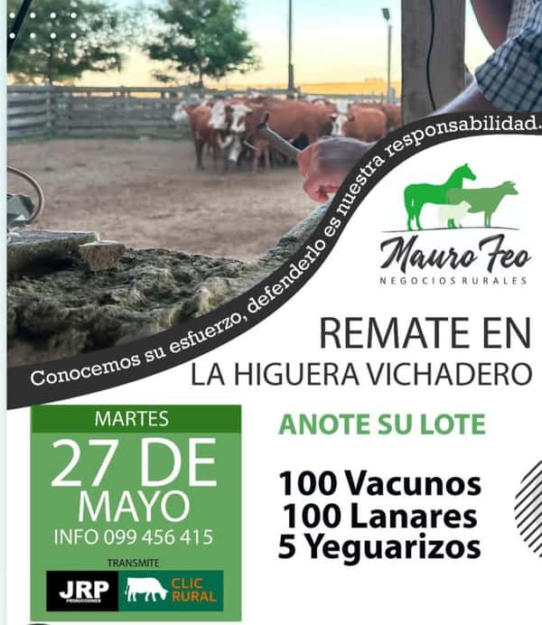  Feria Mensual - Mauro Feo