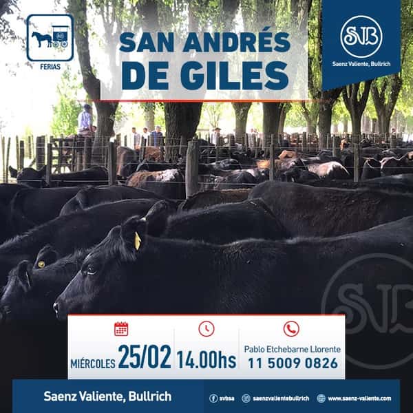  Feria en S. A. de Giles