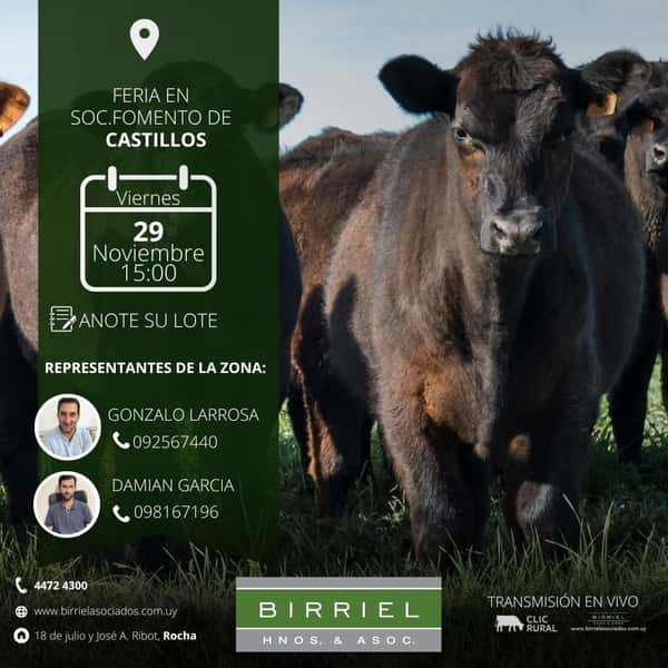 Feria Mensual - Fomento de Castillos