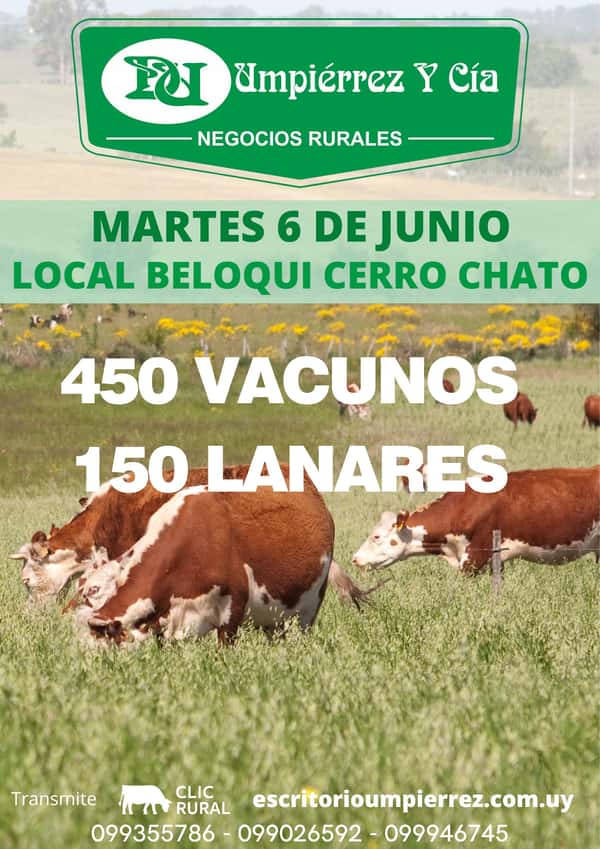  Feria Martes 6 de Junio
