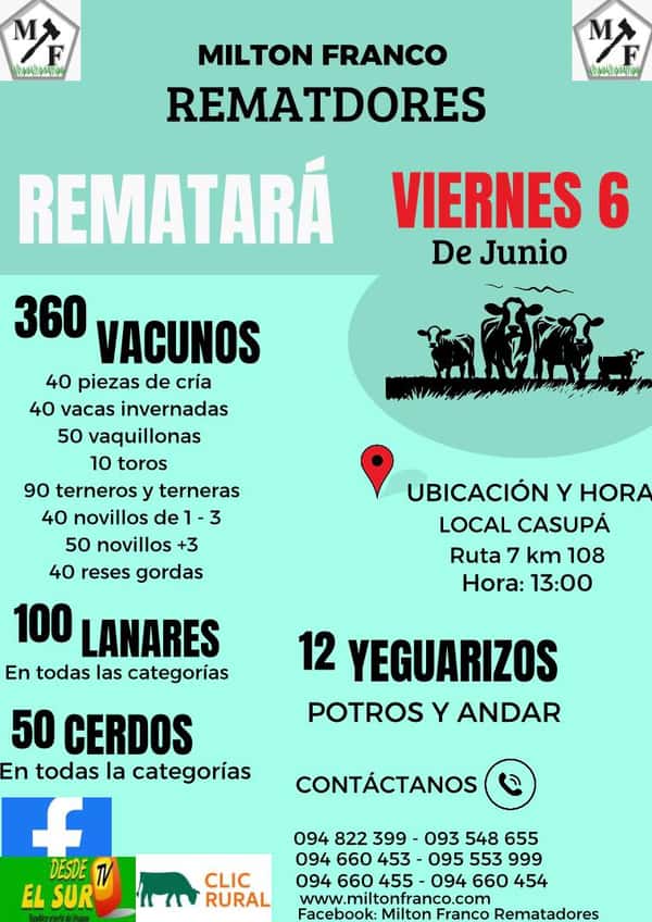  Feria Mensual - Milton Franco