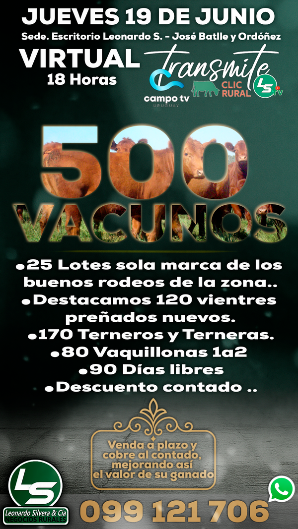 Remate Virtual - Leonardo Silvera