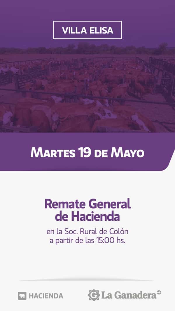  REMATE FERIA EN SOCIEDAD RURAL DE COLON