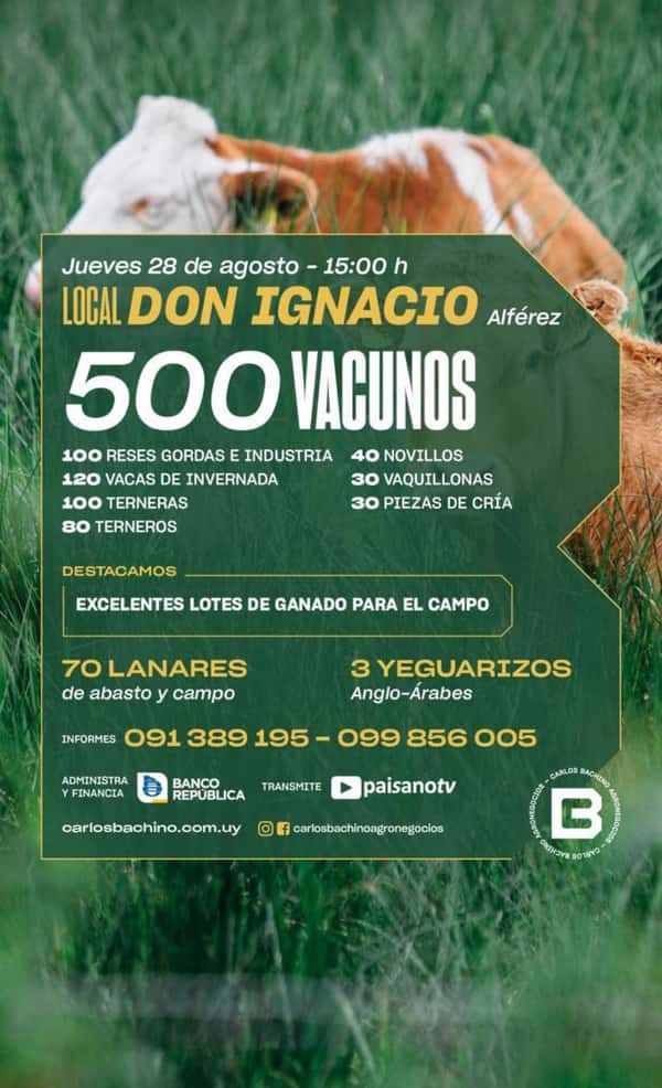 Feria Mensual - Carlos Bachino