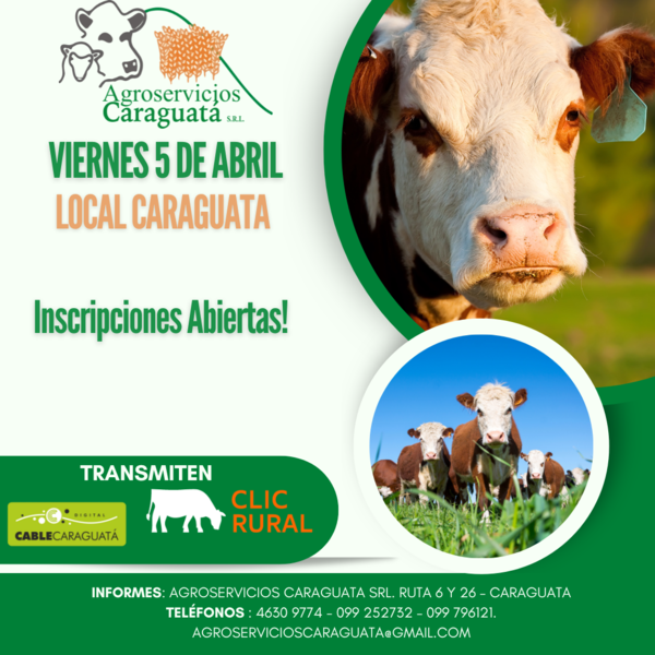 Feria Mensual - Agroservicios Caraguata