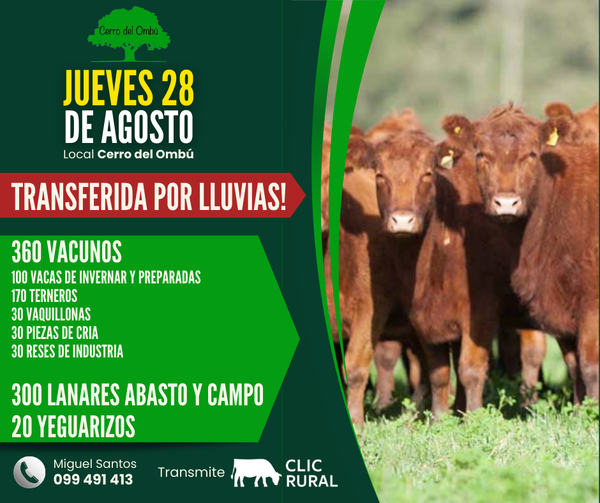 Feria Mensual - Cerro del Ombu
