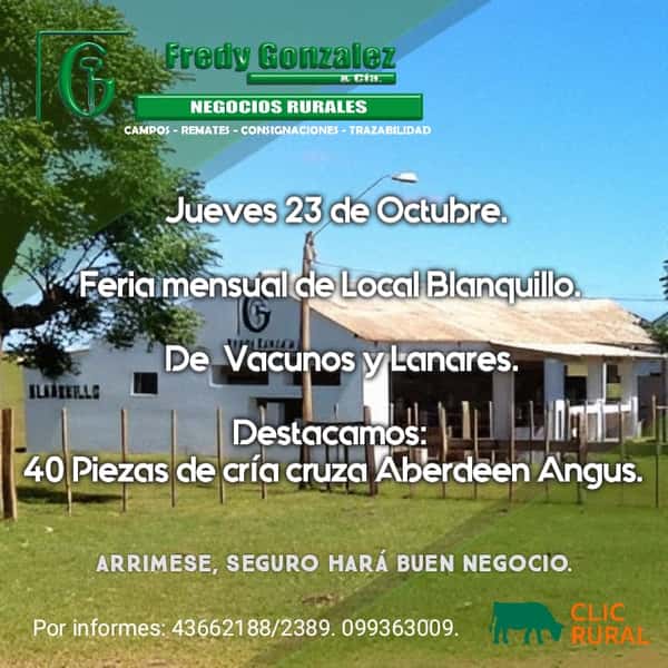 Feria Mensual - Fredy Gonzalez