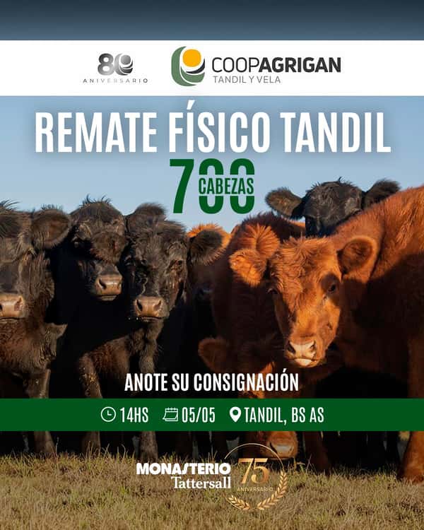  Remate Fisico Tandil
