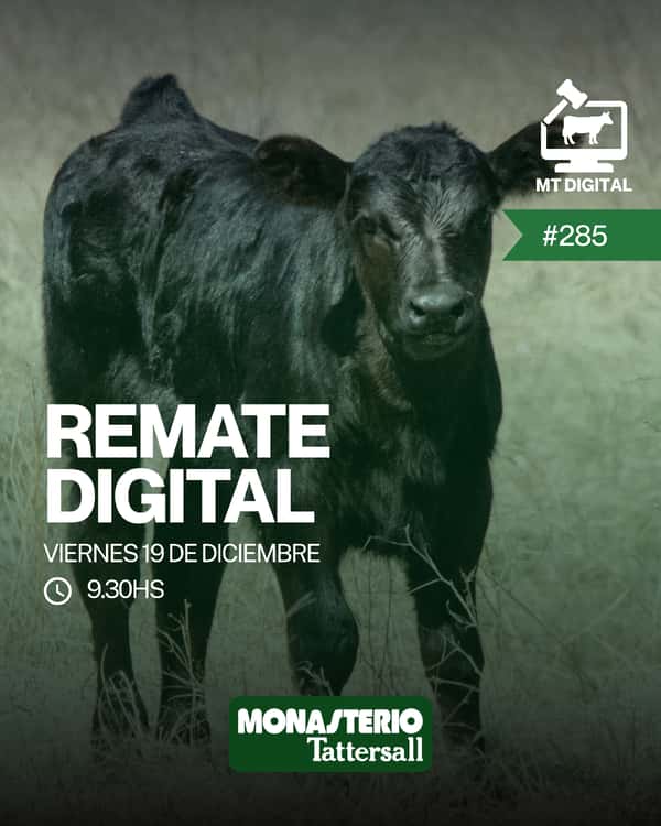  Remate digital 285°