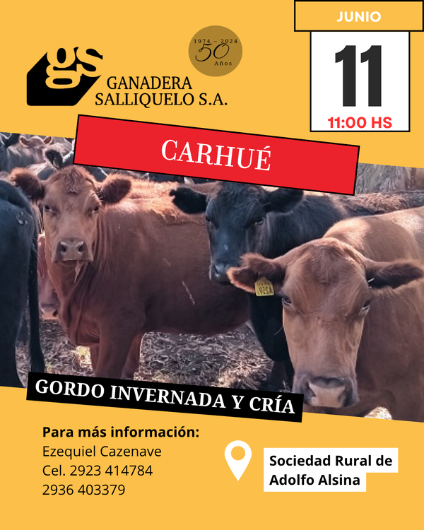  Remate Gordo, Invernada y Cría en Carhué