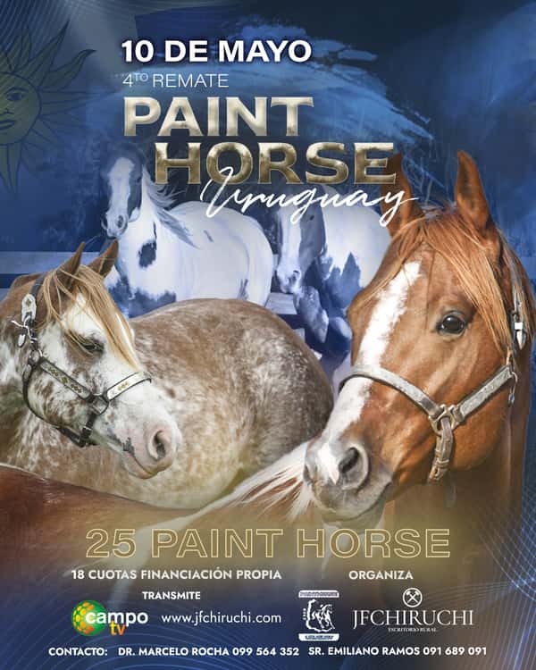 Remate Paint Horse 