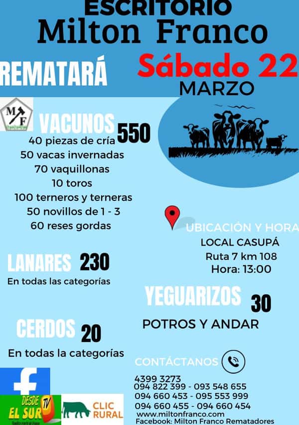 Feria Mensual - Milton Franco