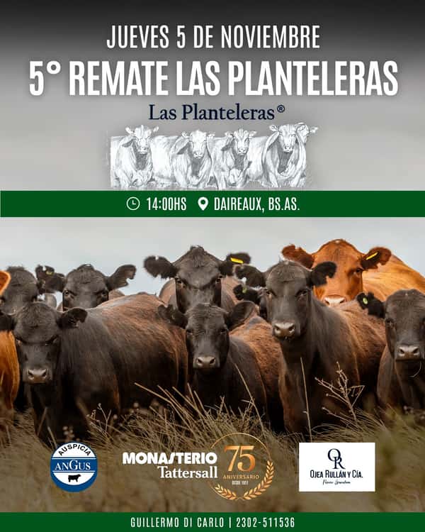Las Planteleras — MONASTERIO TATTERSALL S.A.
