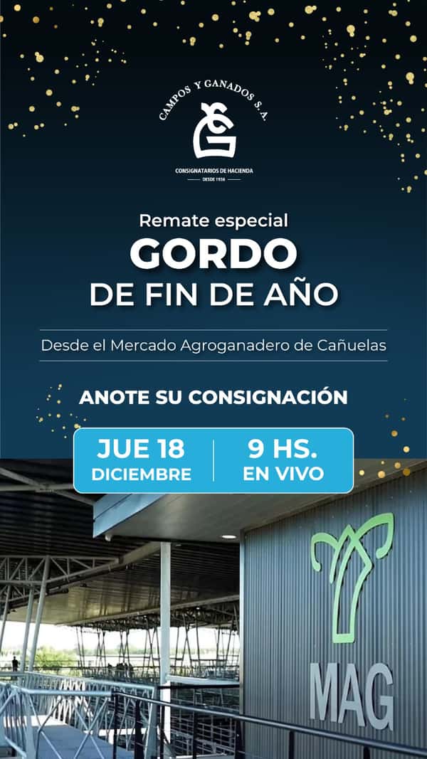  REMATE ESPECIAL DE GORDO DE FIN DE AÑO DESDE EL MERCADO AGROGANADERO