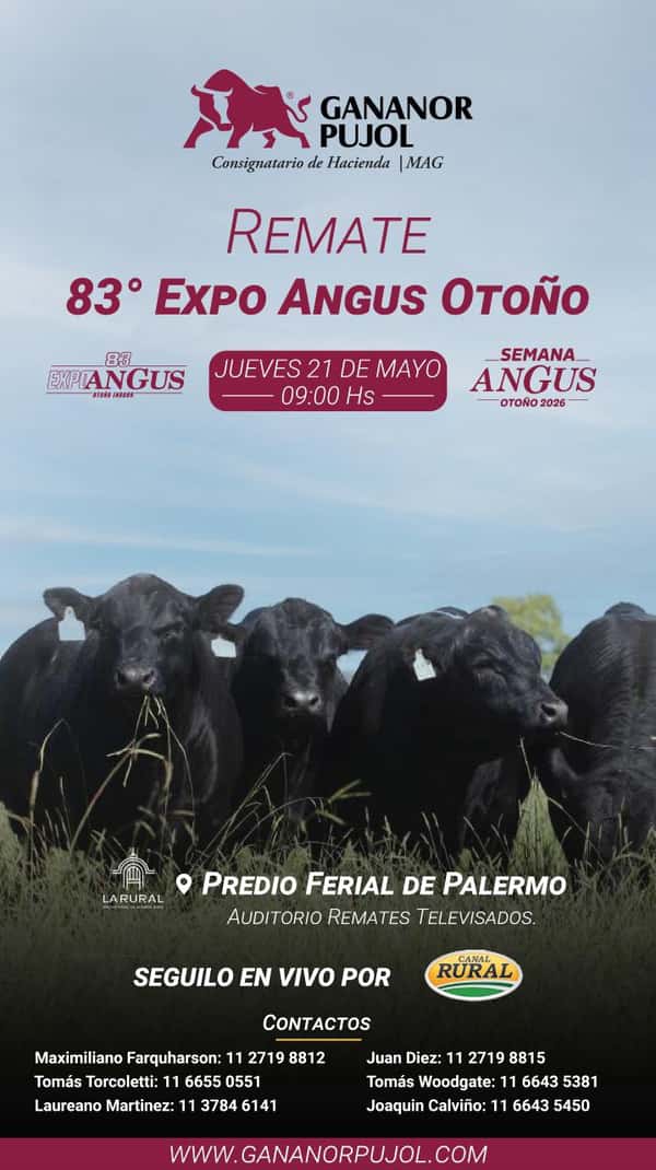 83° Expo Angus Otoño
