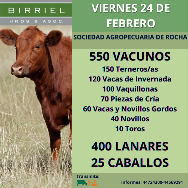 Remate Feria Mensual Birriel