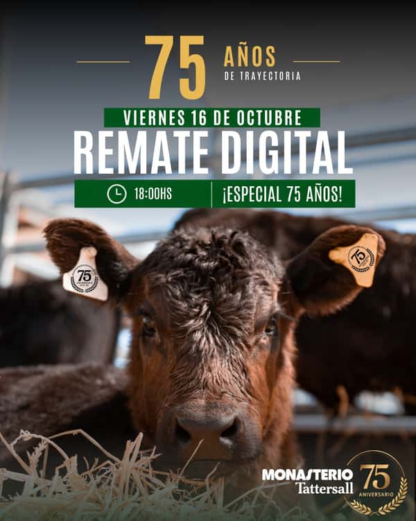 MT Digital aniversario 75 años — MONASTERIO TATTERSALL S.A.