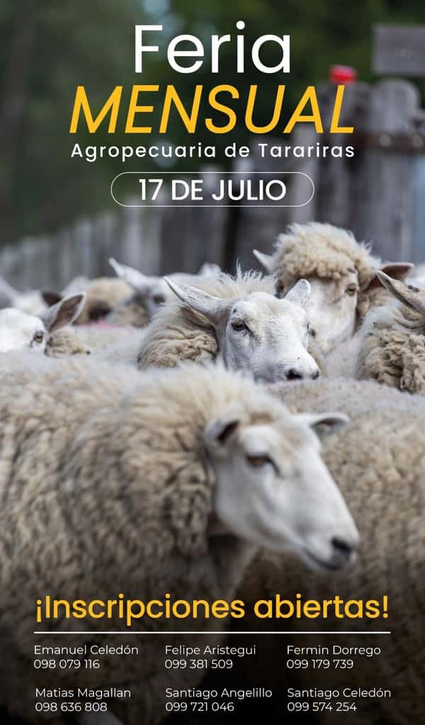 Feria Mensual - Celedon Mediza