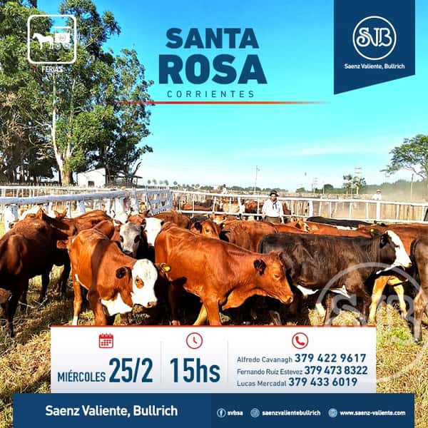  Feria en Santa Rosa