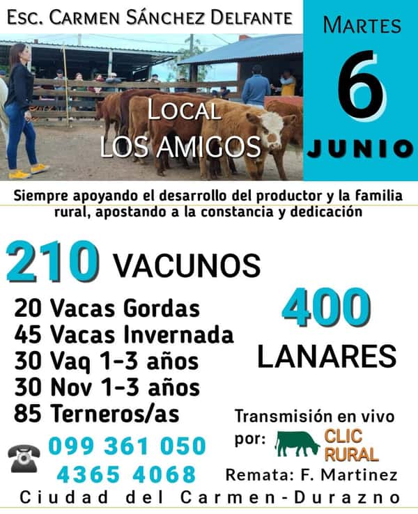 Remate 6 de Junio Local Los Amigos