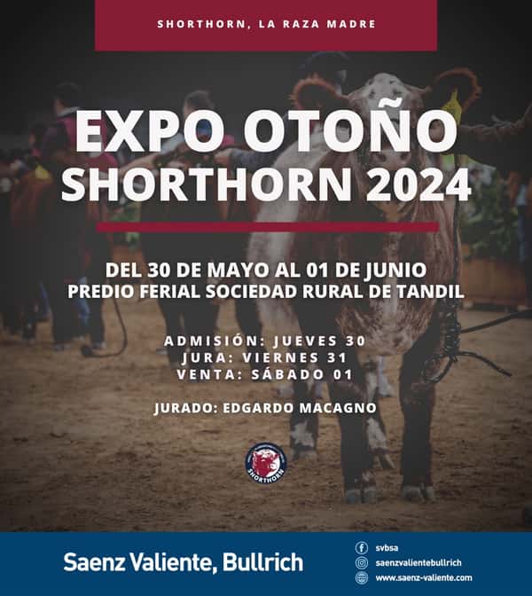  EXPO OTOÑO SHORTHORN 2024