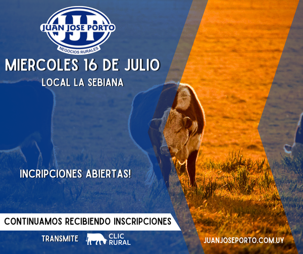  Feria Mensual - Juan Jose Porto