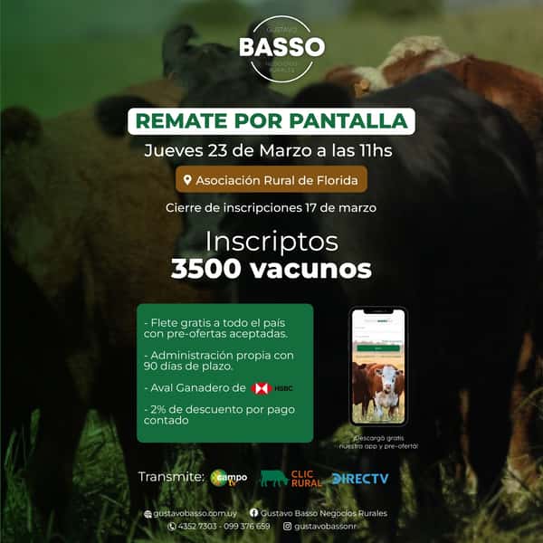  Pantalla Basso