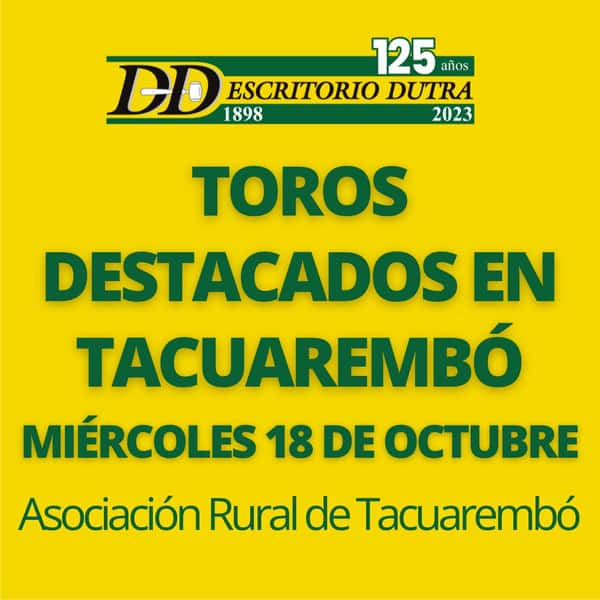  Toros Destacados en Tacuarembó