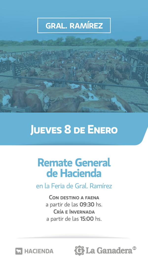   REMATE FERIA EN INSTALACIONES DE GRAL. RAMÍREZ