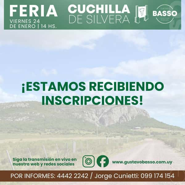  Feria Mensual - Cuchilla de Silvera