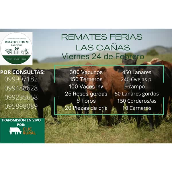 Remate Feria Las Cañas